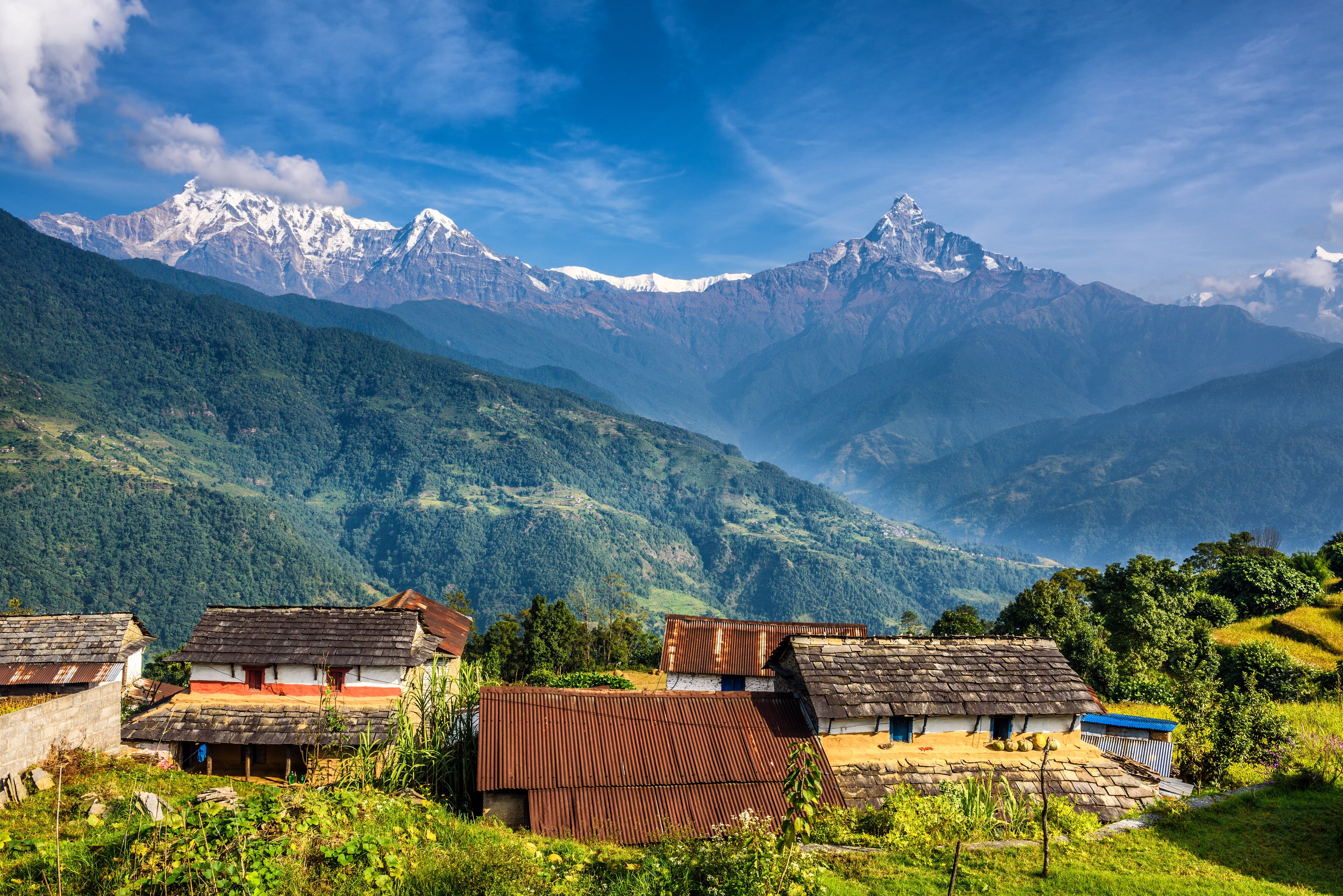 Himalayan Vistas