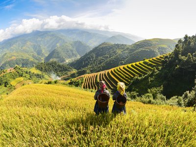 Farmer in rice terrace, northern Vietnam