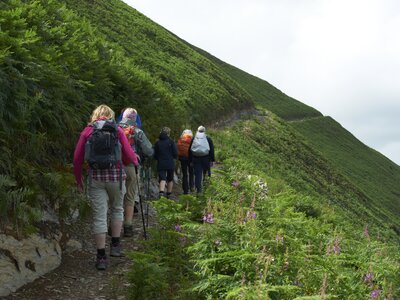 Grassy mountainside pathway incline followed by walking group