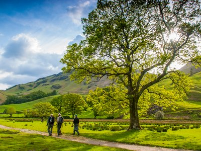 Small group of walkers taking sunny path through Borrowdale Valley - filled with tall trees, winding footpaths, and sloping green hills