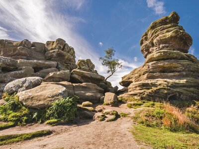 Low angle view of Brimham Rocks in country park in Summerbridge on sunny day, North Yorkshire, England