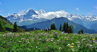 The Lazy Alps