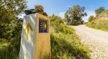 Camino de Santiago- The French Way