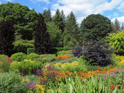 Colourful flowers and plants at Rosemoor Garden, North Devon
