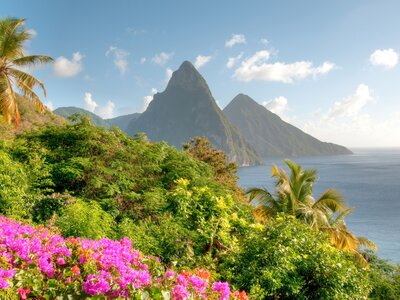 St. Lucia's Twin Pitons at Sunrise view from atop palm trees