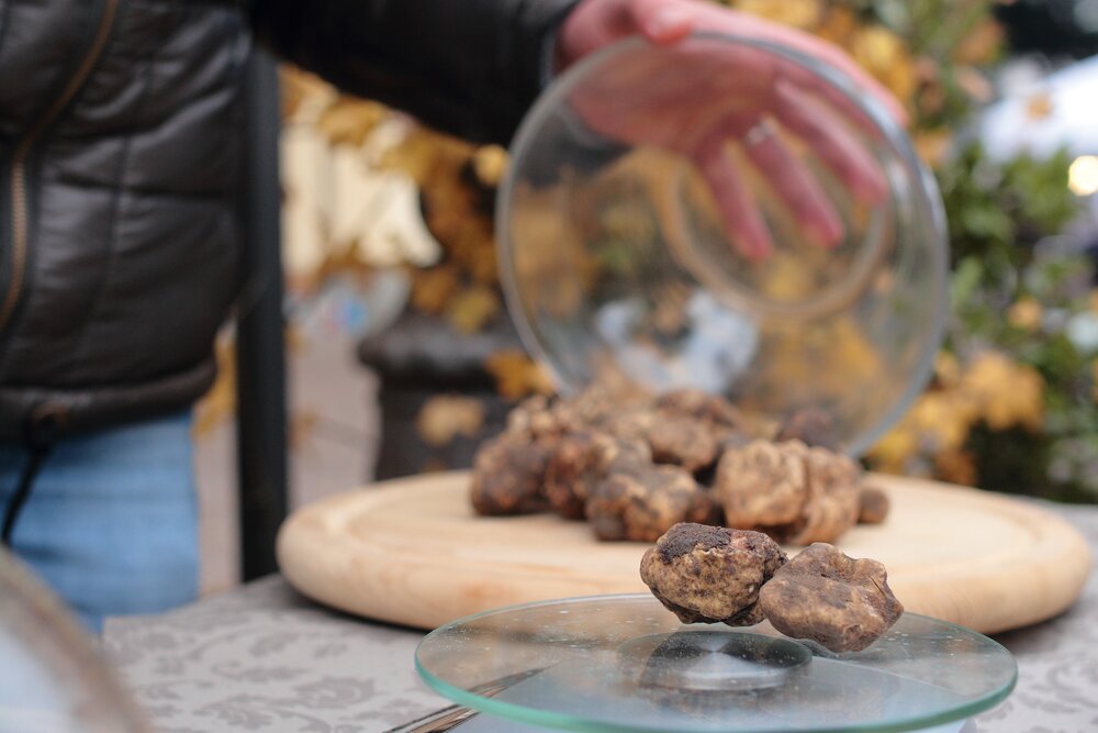 Italy festivals blog -- truffle mushroom festivals and fairs italy