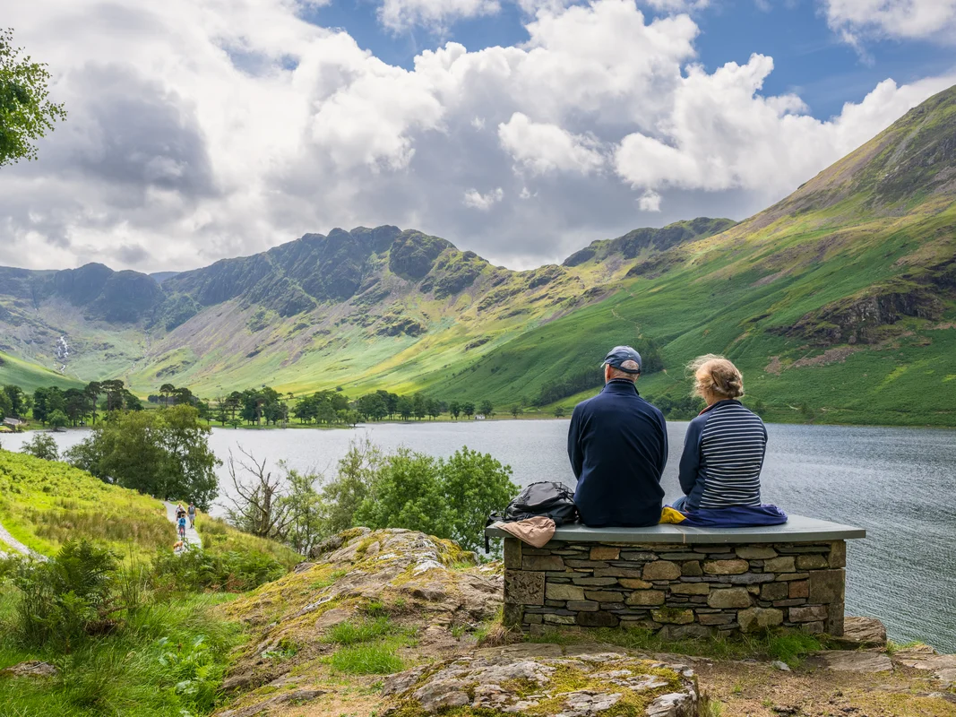 Oak tree on Buttermere Lake, cheapest Lake District in the English countryside