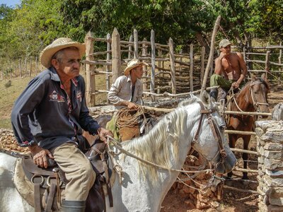 Three men on horseback in Cuba, farming in the traditional way