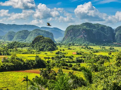 Striking limestone landscape and mogotes in Vinales Valley, Cuba