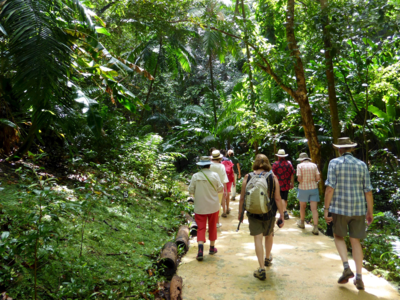 Ramble Worldwide walking holiday group moving pathway of green trees and bushes through Welchman Hall Gully, Barbados, North America