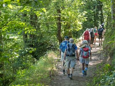 Ramble Worldwide walking holiday walking group passing through vibrant woodland, Picos De Europa, Spain