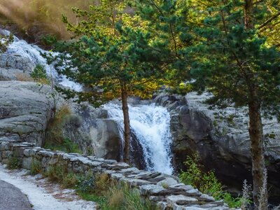 Waterfall near roadside with sun shining through in pine tree leaves at Aiguestortes National Park, Catalonia, Spain, Europe
