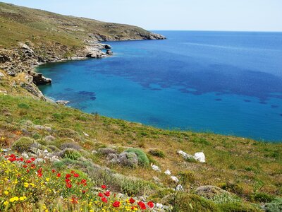 Flowery coastal edge by blue sea in Korthi Andros in spring time, Greece