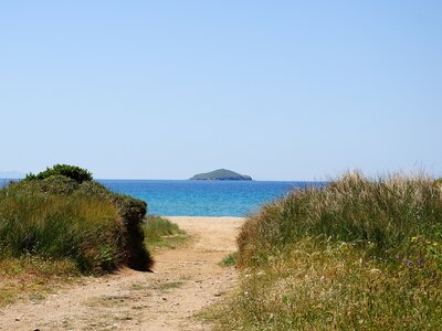 Sandy pathway with green grass growing each side leading to Agios Petros beach on Andros island Greece