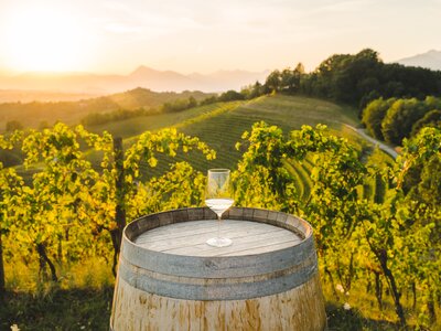 Glass of white wine on wooden wine barrel in the vineyards at sunset, Italy