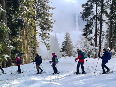 Side view of Ramble Worldwide walking group of people snowshoeing on snowy mountainside in Trentino with sunlight shining through pine trees, Italy