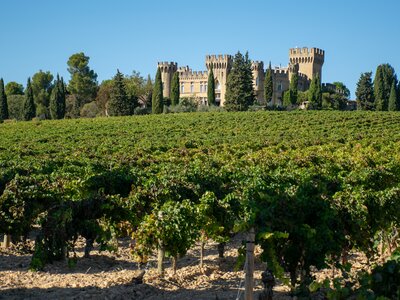Chateau and vineyard in Chateaunuef de Pape Provence, France