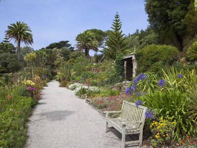 White stone pathway in Abbey Gardens with bench and colourful flowers growing all around, Tresco, Isles of Scilly, England