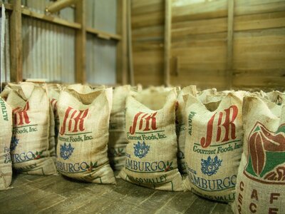 Coffee bean sacks stored indoors at plantation in Finca Hamburgo, Mexico