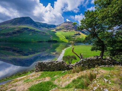 Stone wall and oak tree near footpath by lake with Lake District fell in background