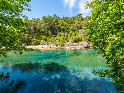 Clear turquoise waters surrounded by green trees in Koprulu Canyon National Park, Turkey
