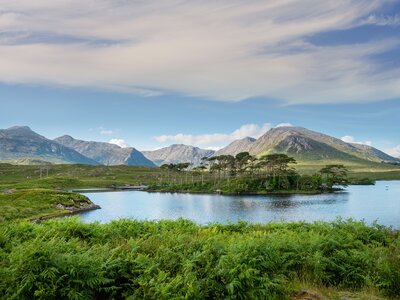 Pine island in Connemara National park with cloudy blue sky and mountains in the background, Ireland