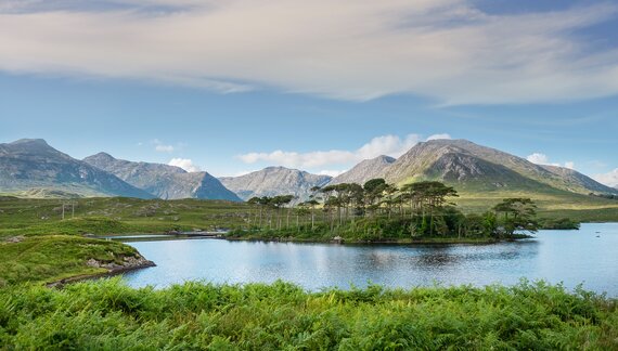 Pine island in Connemara National park with cloudy blue sky and mountains in the background, Ireland