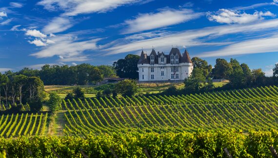 Chateau Monbazillac Monbazillac castle with vineyards, Aquitaine, France
