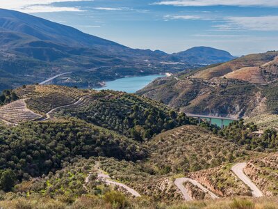 Viewpoint of mountains and crop fields with trees and the Rules reservoir Lanjaron, Granada