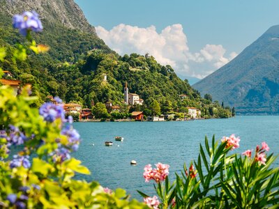 Flowers in foreground with Lake Lugano with mountains and buildings in view, Italy