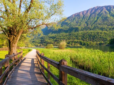 Nature reserve in Menaggio near Porlezza town with Lake Piano in far distance, Italy