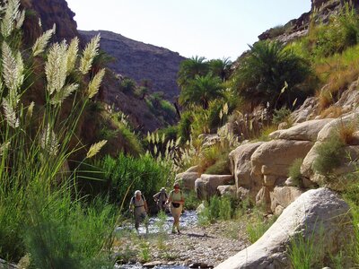 Ramble Worldwide walking group hiking through trail Wadi Bin Hammad in Jordan