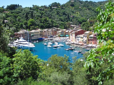 Green trees surrounding vibrant blue water in port filled with small boats, yacht, and colouring Italian houses, Portofino, Italy