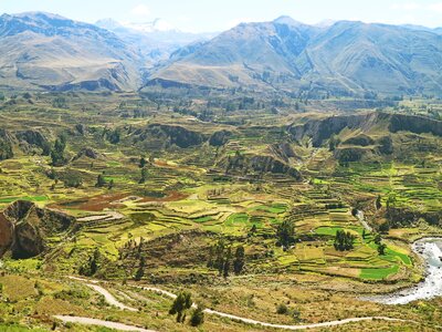 Aerial View of Agricultural Terraces in Colca Canyon, Arequipa Region, Peru, South America