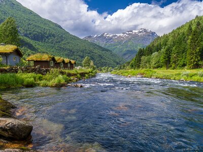 Traditional Norwegian houses with grass-covered roofs by flowing river with tall green pine trees growing nearby and mountain in distance with snow on top, Norway, Europe