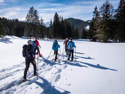 Group of adults snowshoeing on snowy plateau