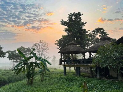 Warm orange scattered cloud sky caused from sunset appearing behind raised huts and trees amidst tall grass, Nepal