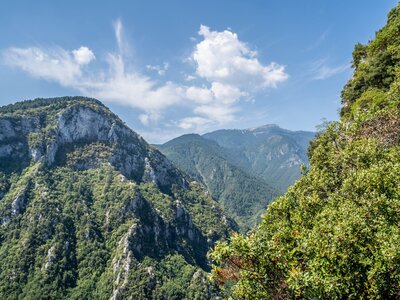 Mountains of Olympus during a summer hike with green trees growing on cliff faces, Greece