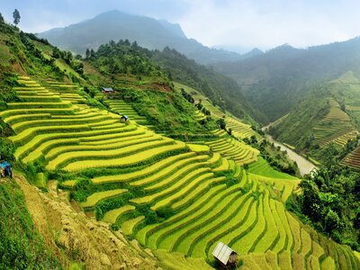 Rice fields of Mu Cang Chai in northern Vietnam