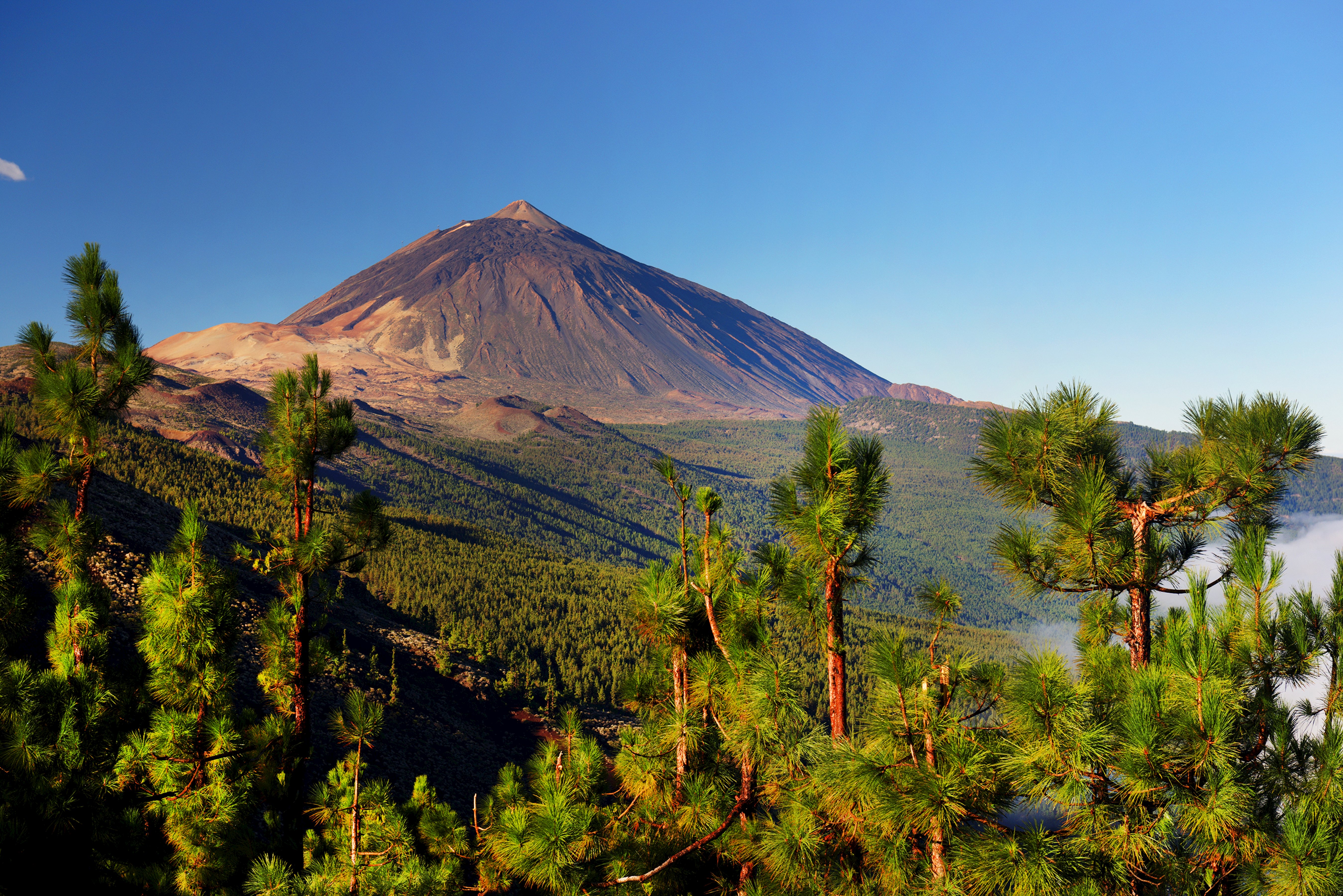 Gran Canaria, Lanzarote & Tenerife
