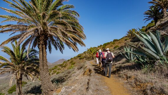 Walkers crossing a volcanic landscape on La Gomera, Canary Islands